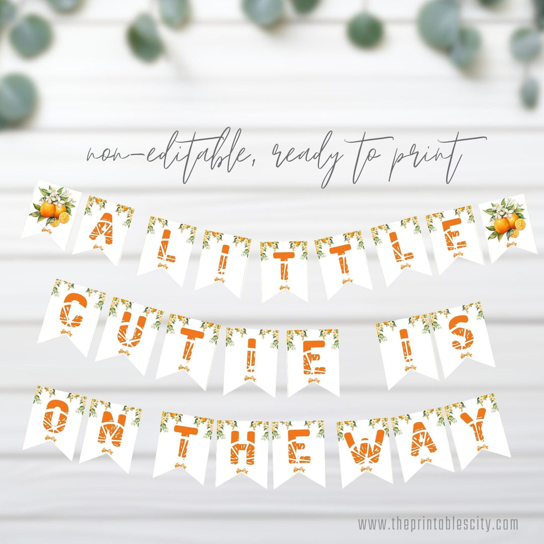 A Little Cutie Is On The Way Party Banner for Baby Shower