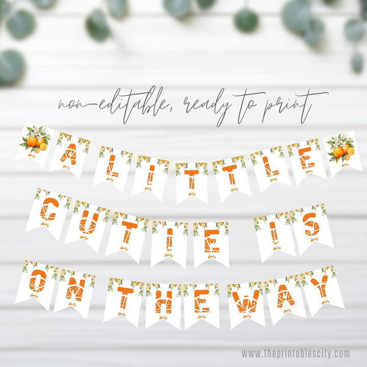 A Little Cutie Is On The Way Party Banner for Baby Shower