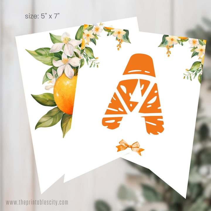 A Little Cutie Is On The Way Party Banner for Baby Shower